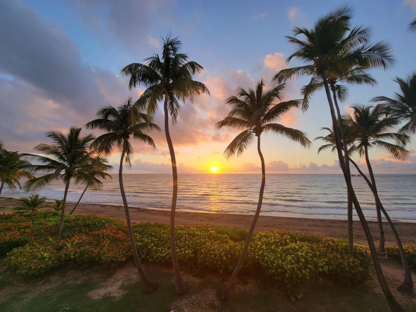 Bv103 - Amazing Oceanfront Condo Steps From Beach Humacao Buitenkant foto